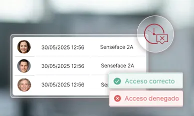 Registro de ingresos